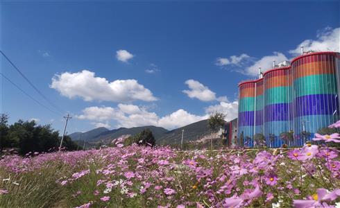 BIPV，讓水泥廠變花園！